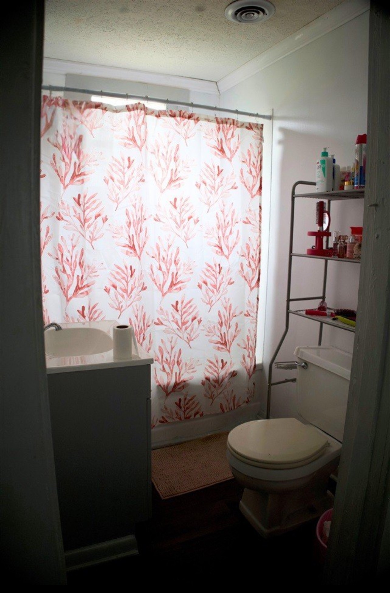 600 Amys Alley Russellville KY 42276