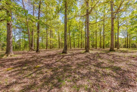 1110 Pack Road White Bluff TN 37187