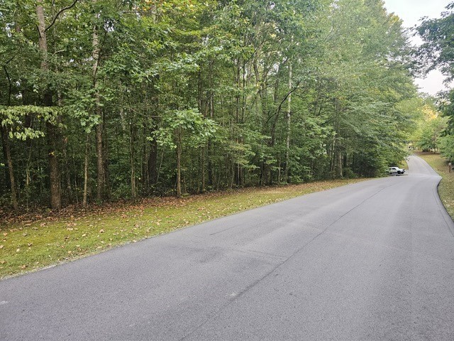 1001 Thornblade Drive Kingston Springs TN 37082