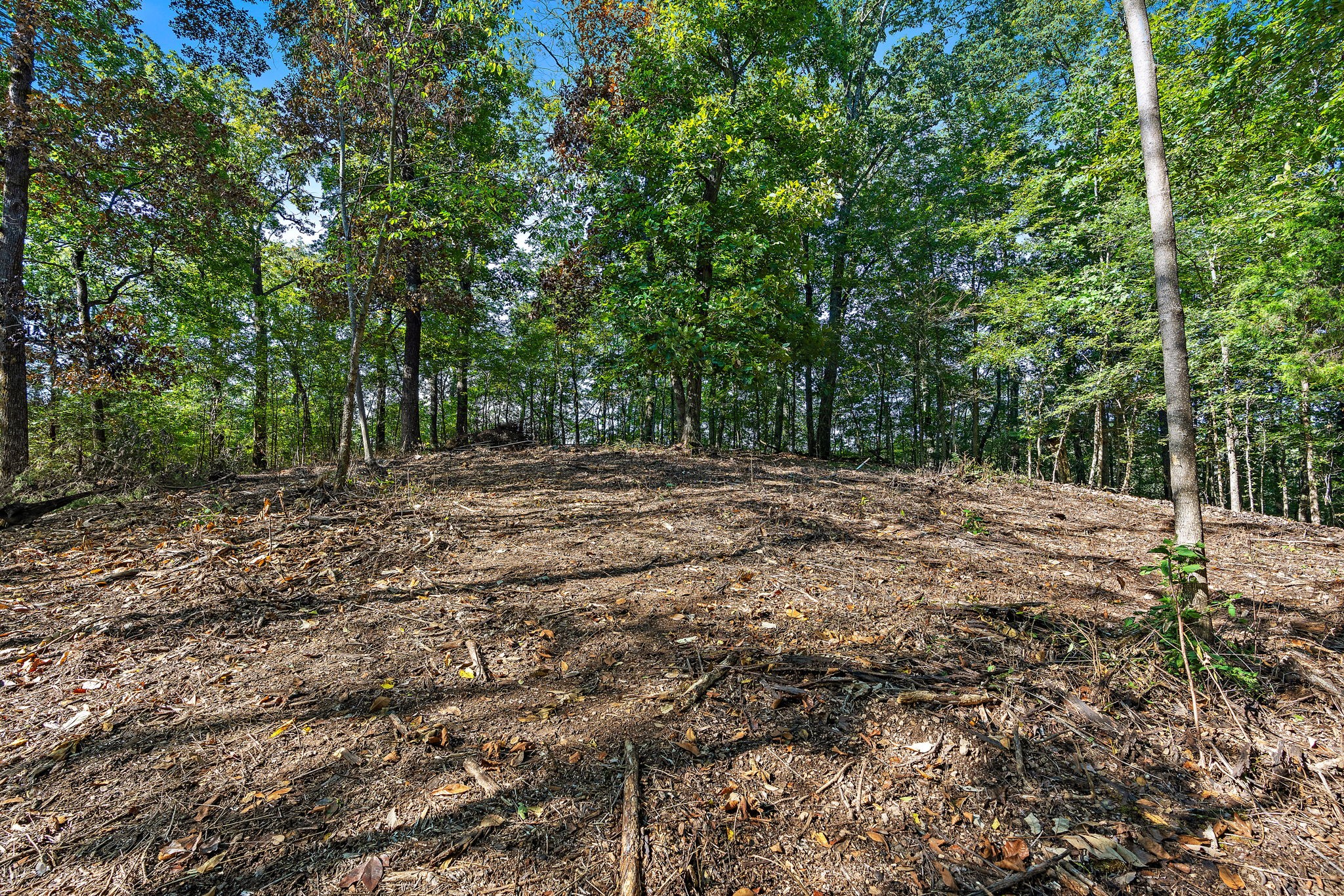 5535 Old Hickory Boulevard Nashville TN 37218