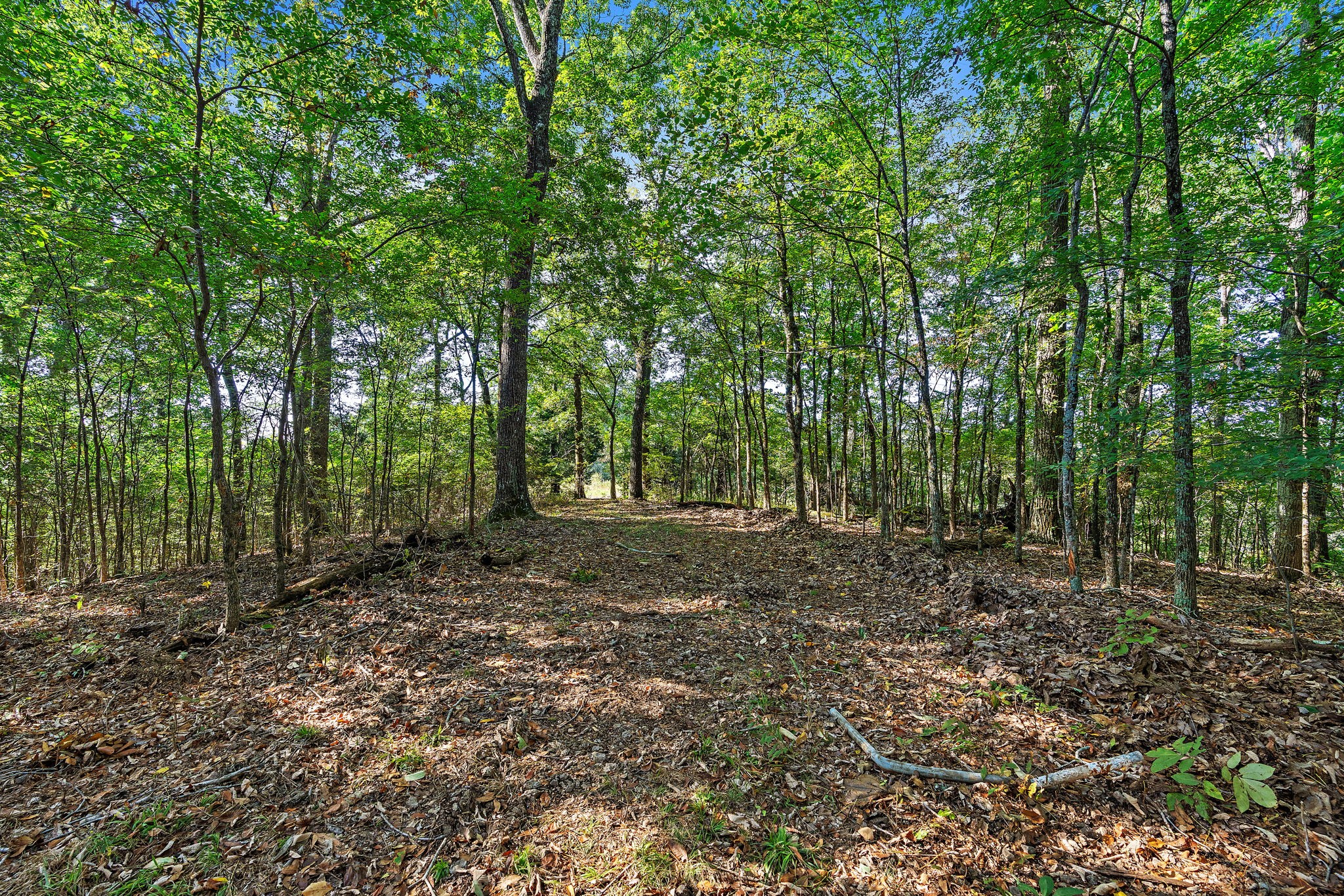 5535 Old Hickory Boulevard Nashville TN 37218