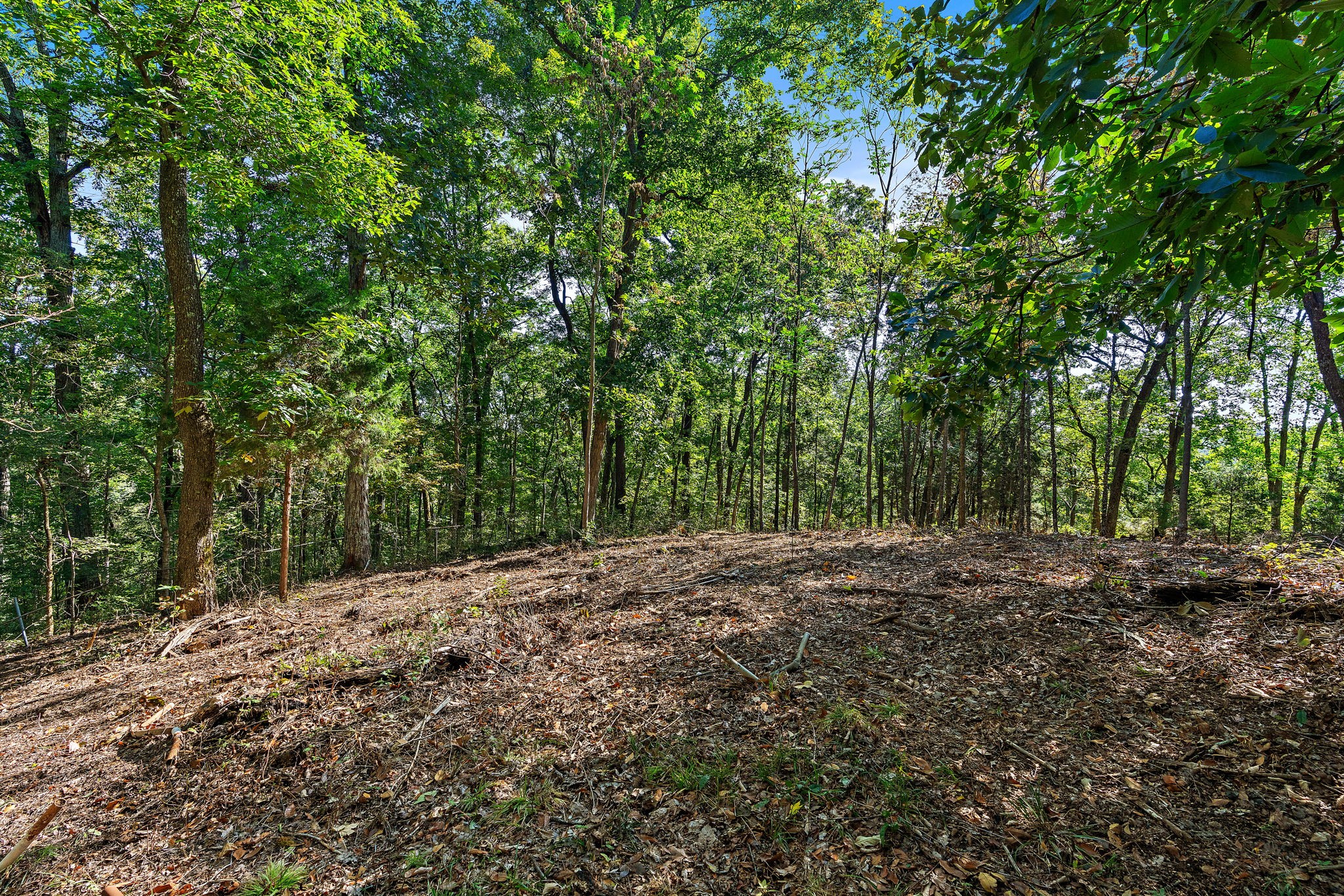 5535 Old Hickory Boulevard Nashville TN 37218