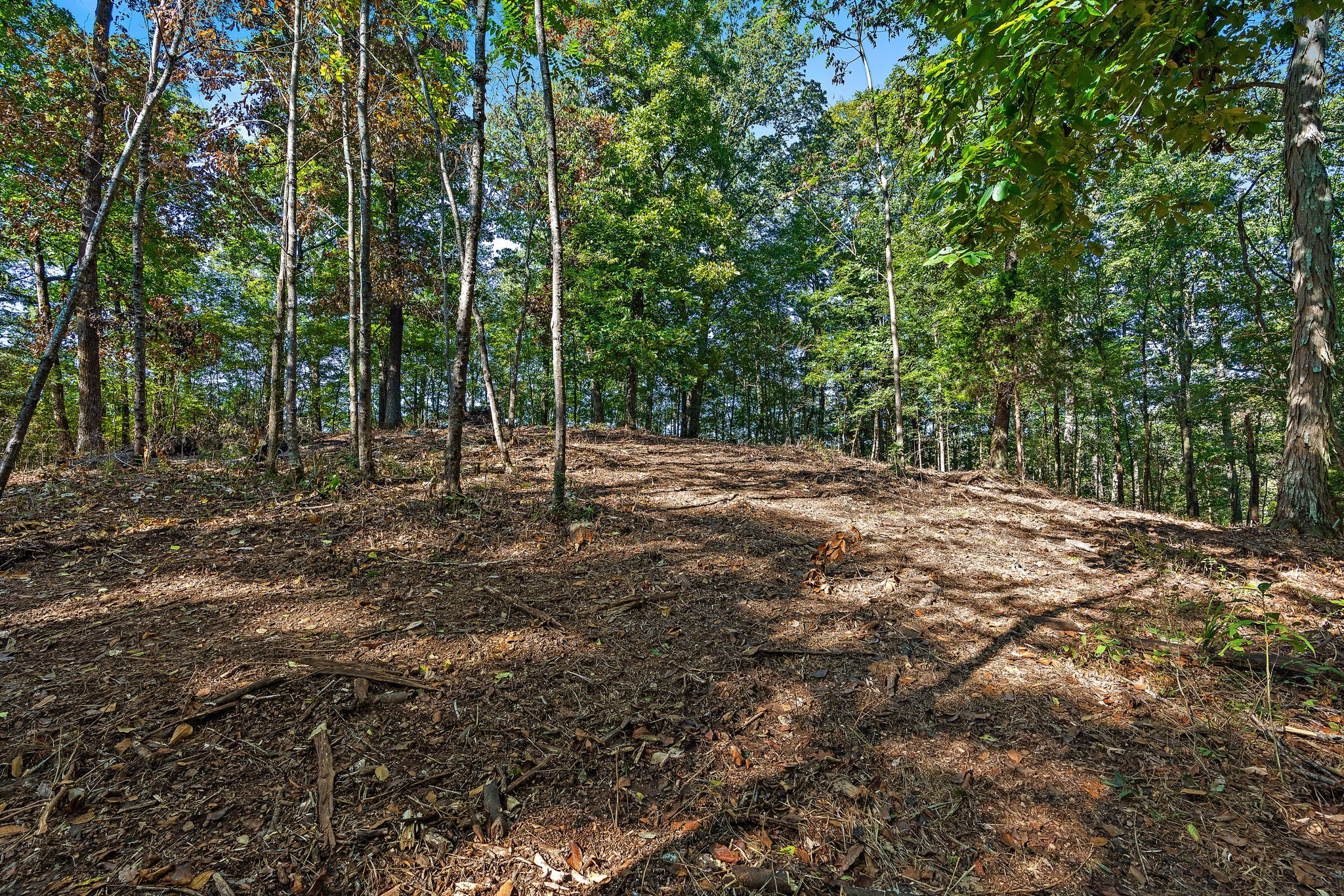 5535 Old Hickory Boulevard Nashville TN 37218