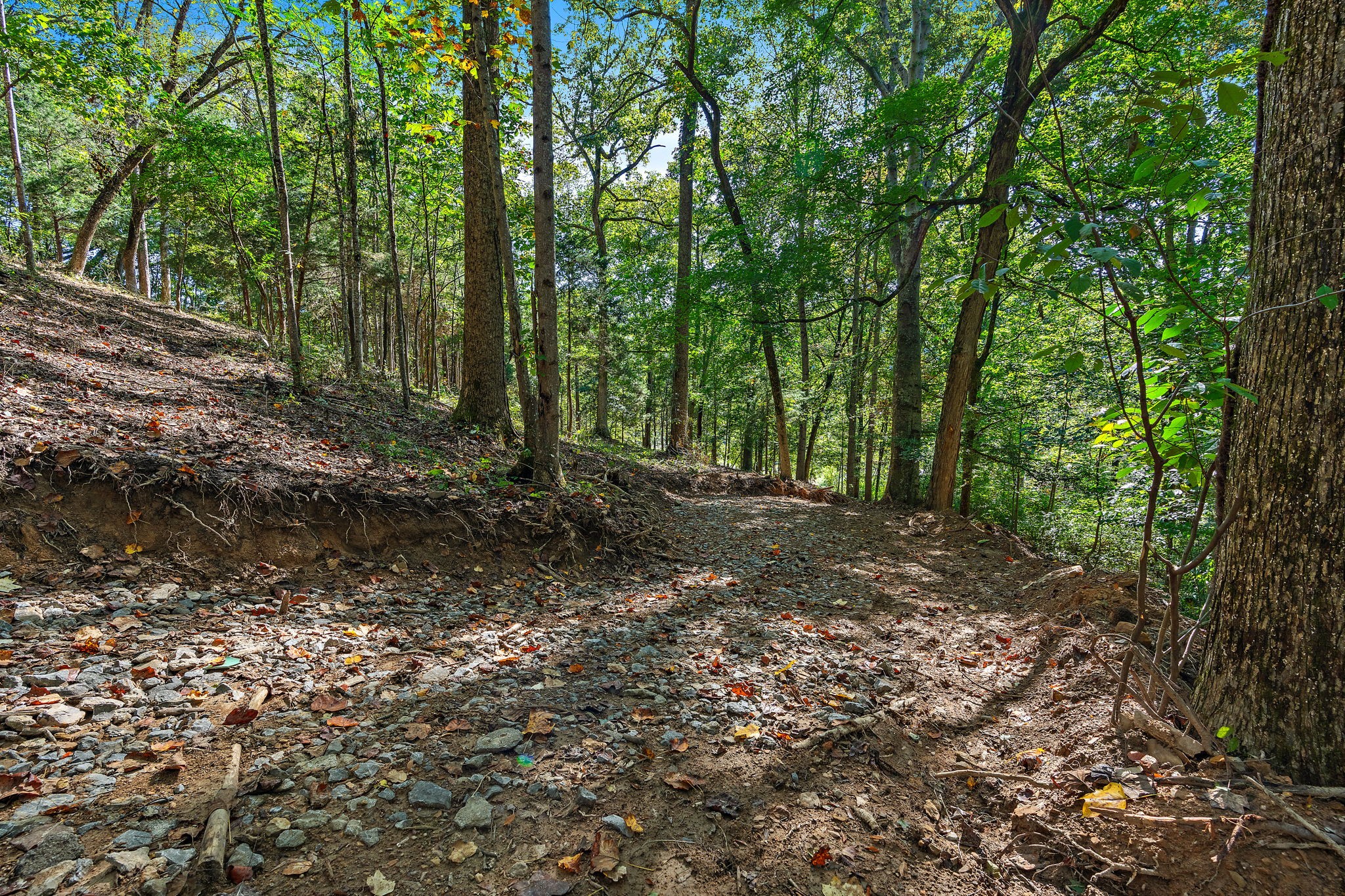 5535 Old Hickory Boulevard Nashville TN 37218