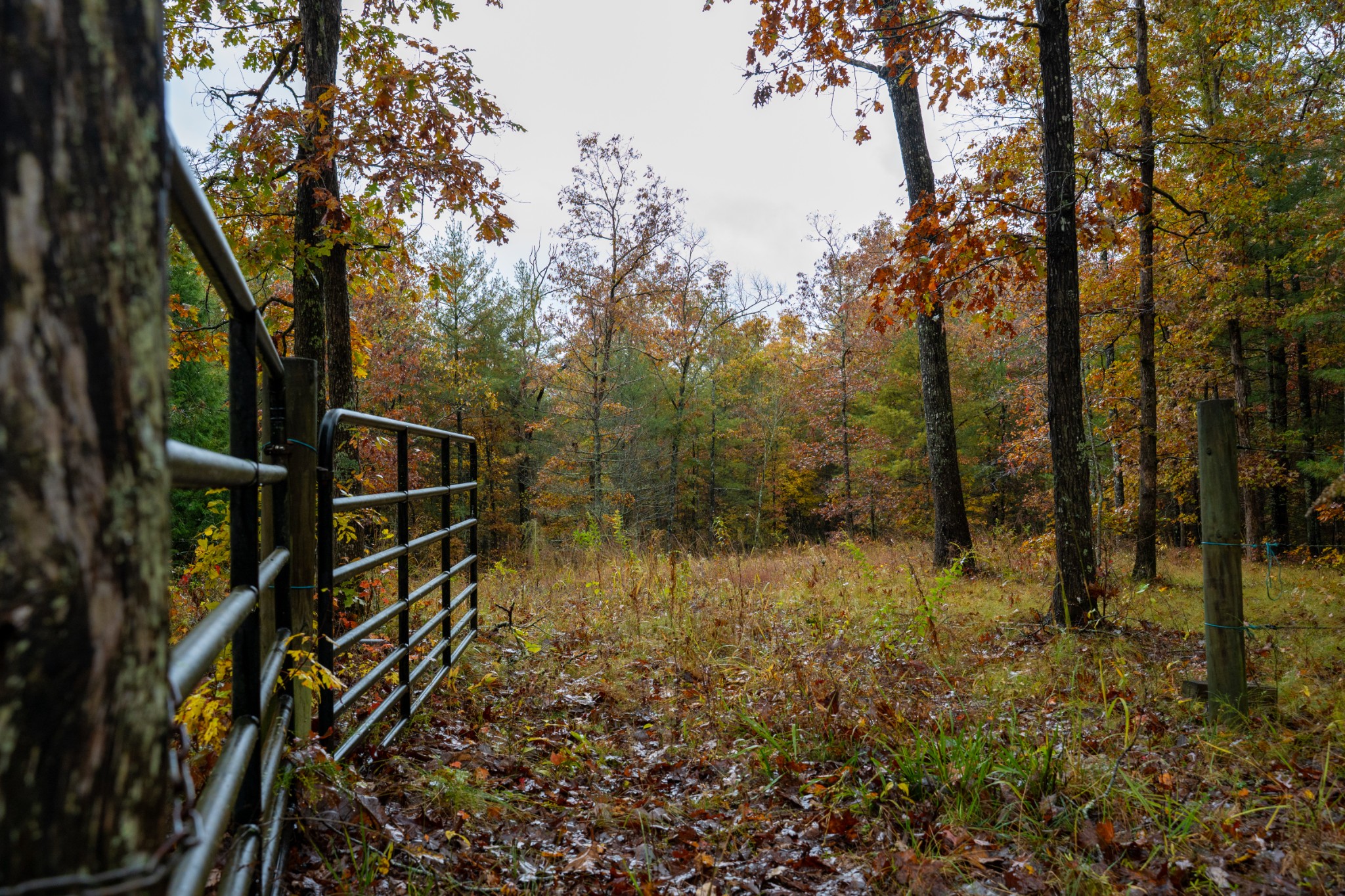 0 Trailhead Lane Jamestown TN 38556