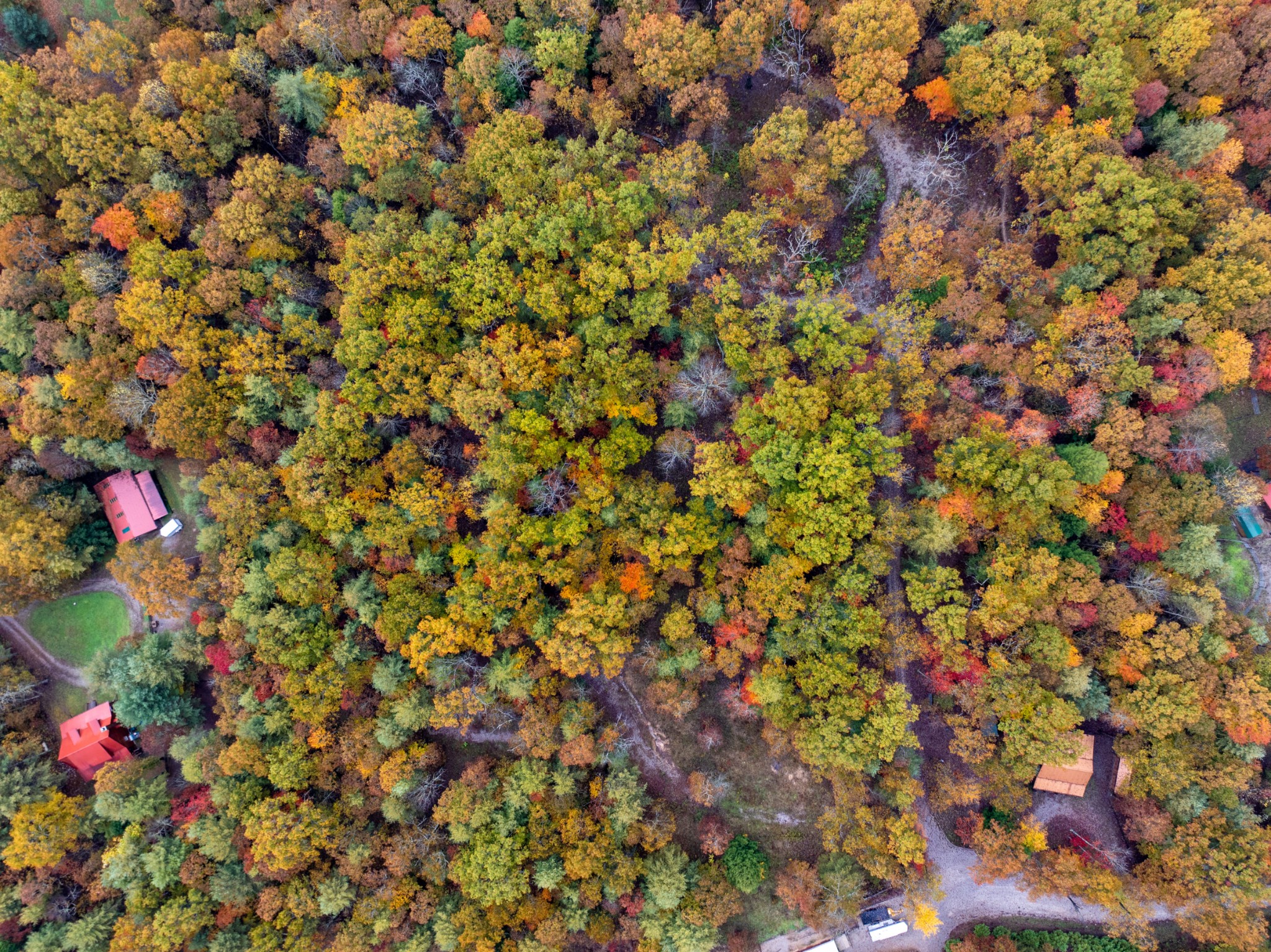 0 Trailhead Lane Jamestown TN 38556