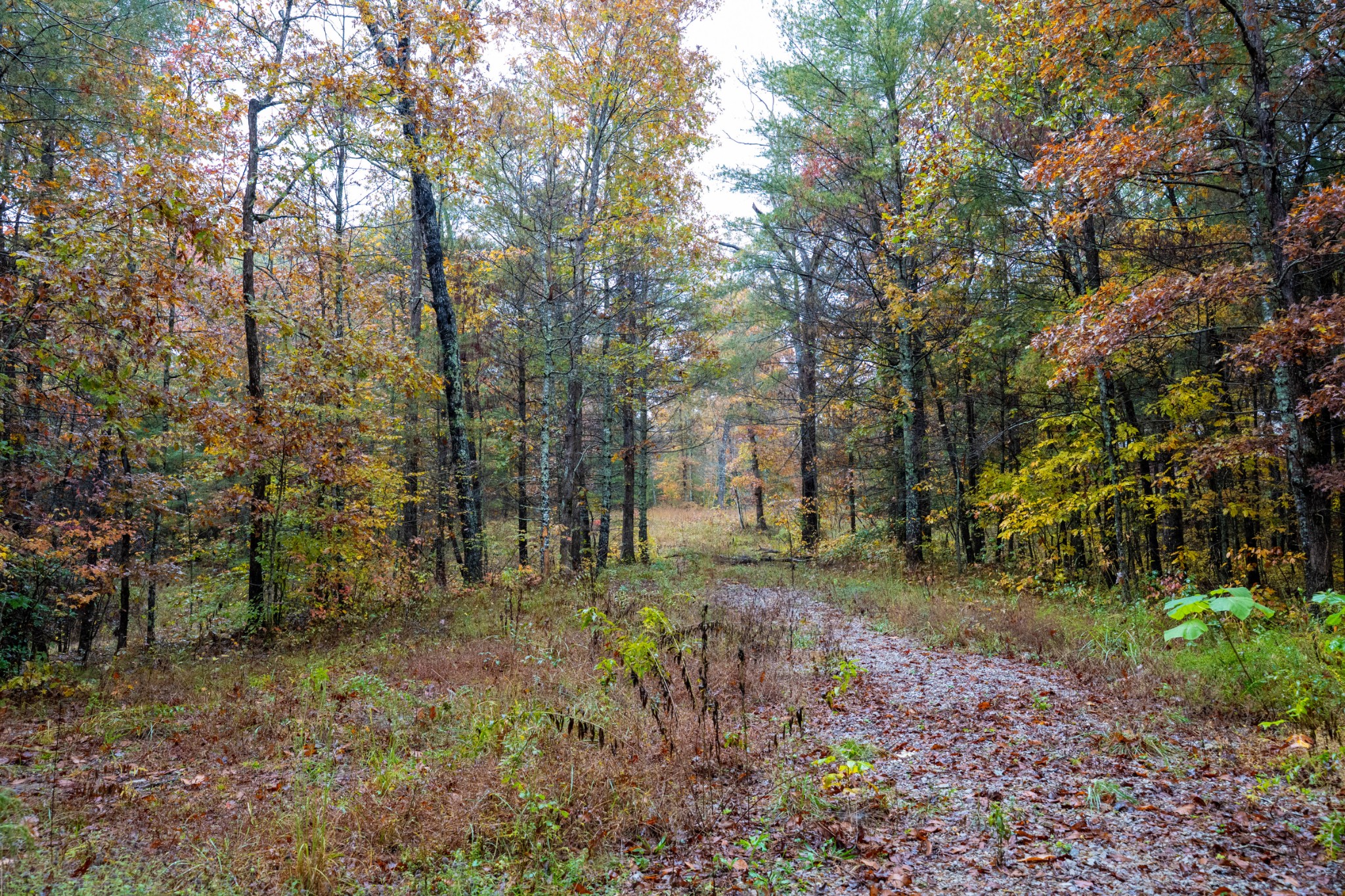 0 Trailhead Lane Jamestown TN 38556