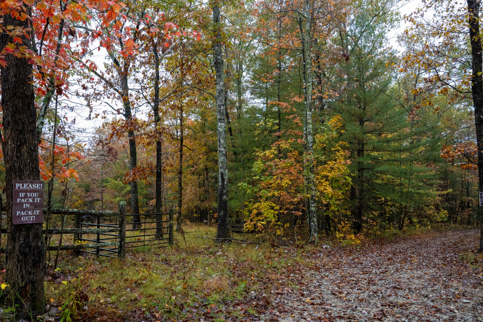 0 Trailhead Lane Jamestown TN 38556