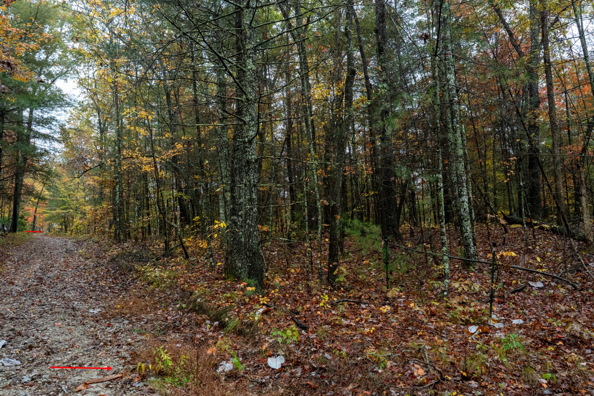 0 Trailhead Lane Jamestown TN 38556