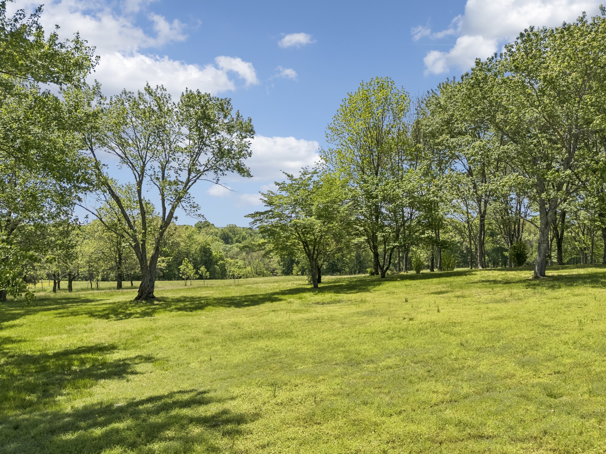 1690 Lawrence Lane Springfield TN 37172