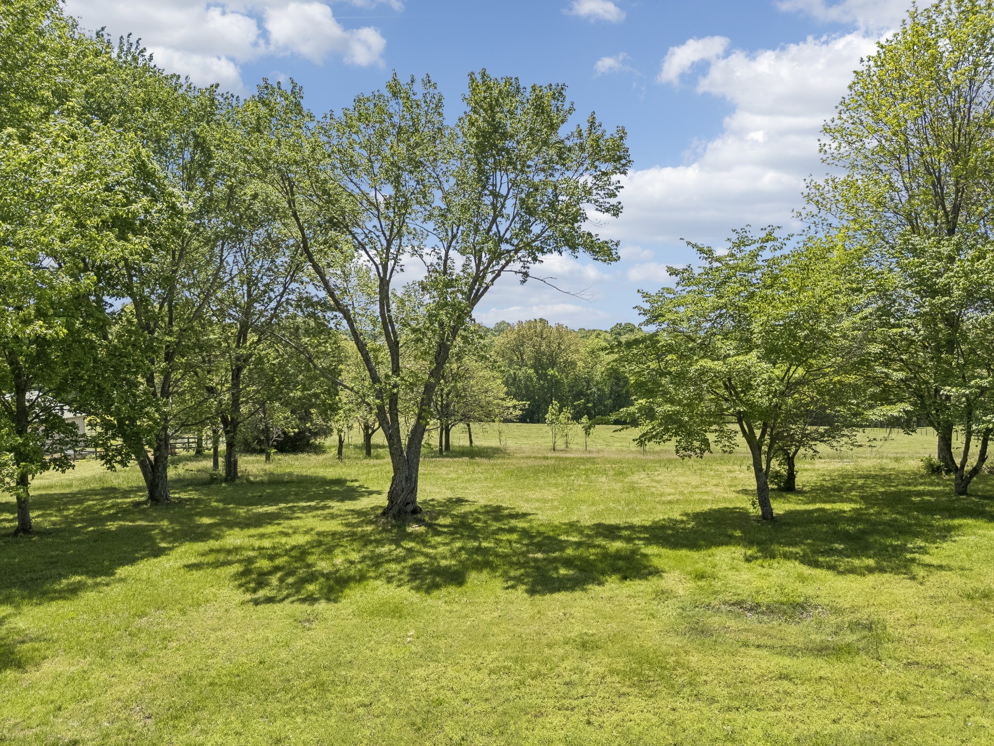 1690 Lawrence Lane Springfield TN 37172