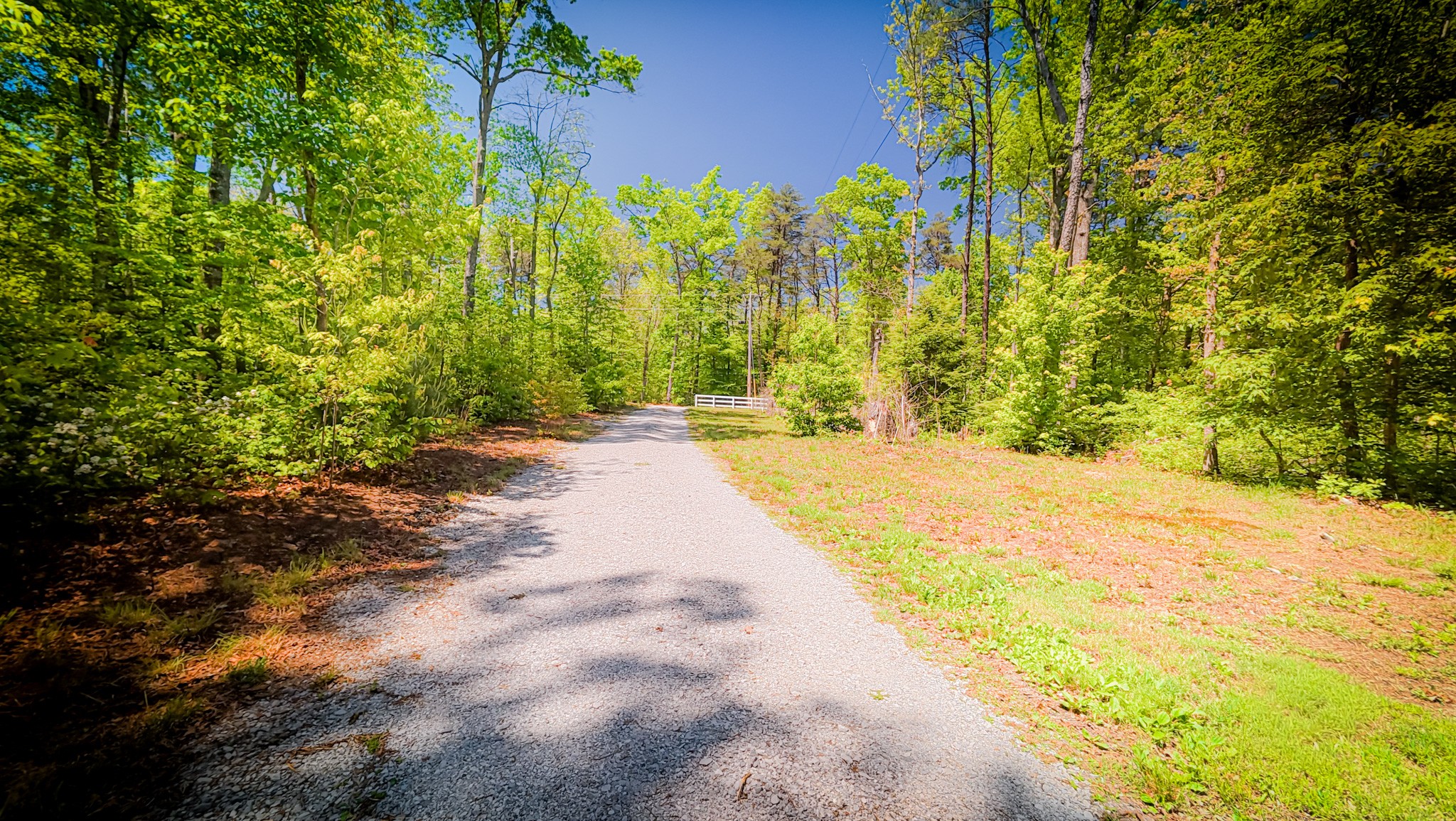 506 Dollar Drive Altamont TN 37301