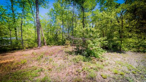 506 Dollar Drive Altamont TN 37301