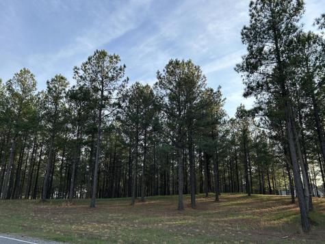 362 Cumberland Circle Jasper TN 37347