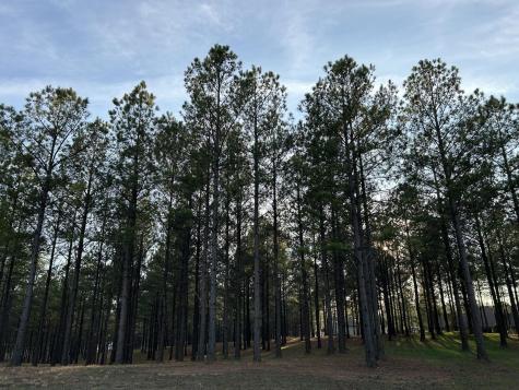 362 Cumberland Circle Jasper TN 37347