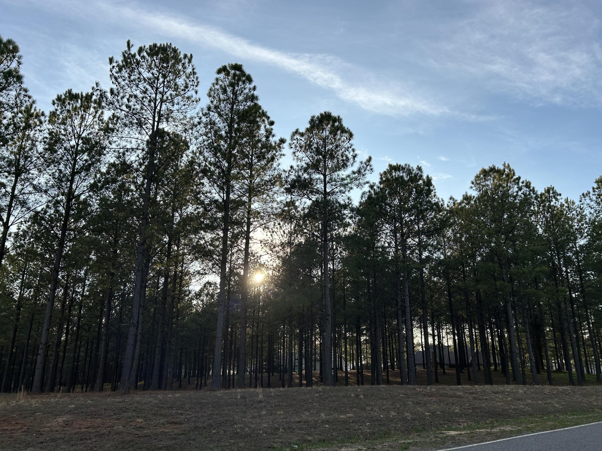 362 Cumberland Circle Jasper TN 37347