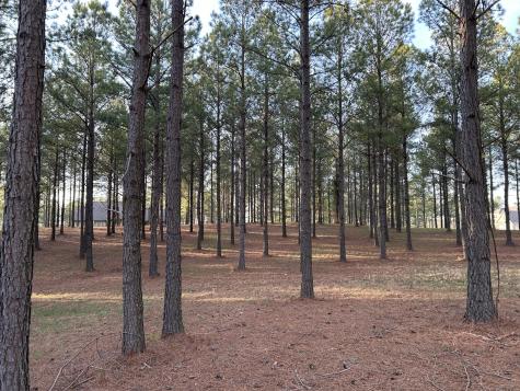 362 Cumberland Circle Jasper TN 37347