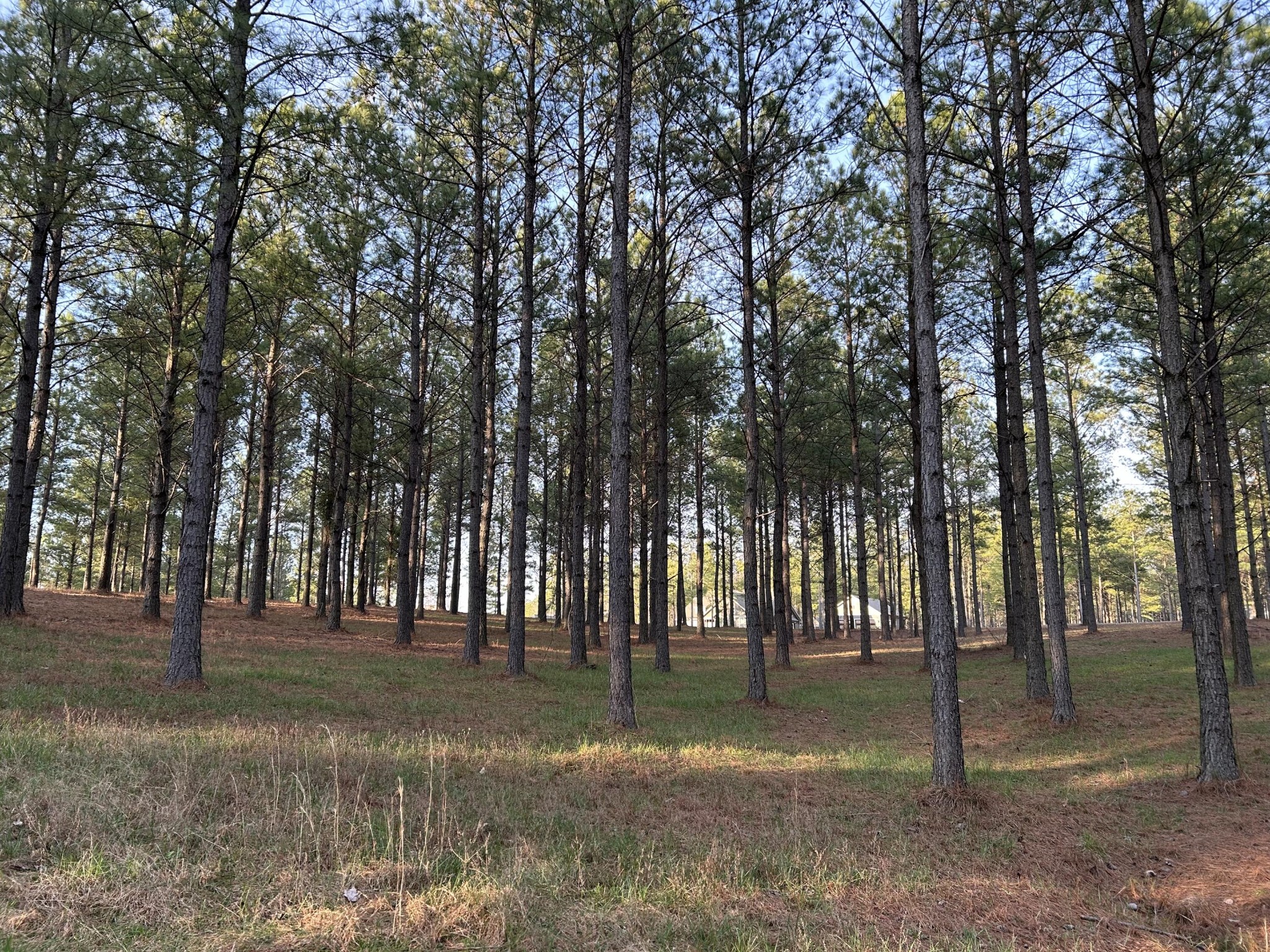 362 Cumberland Circle Jasper TN 37347