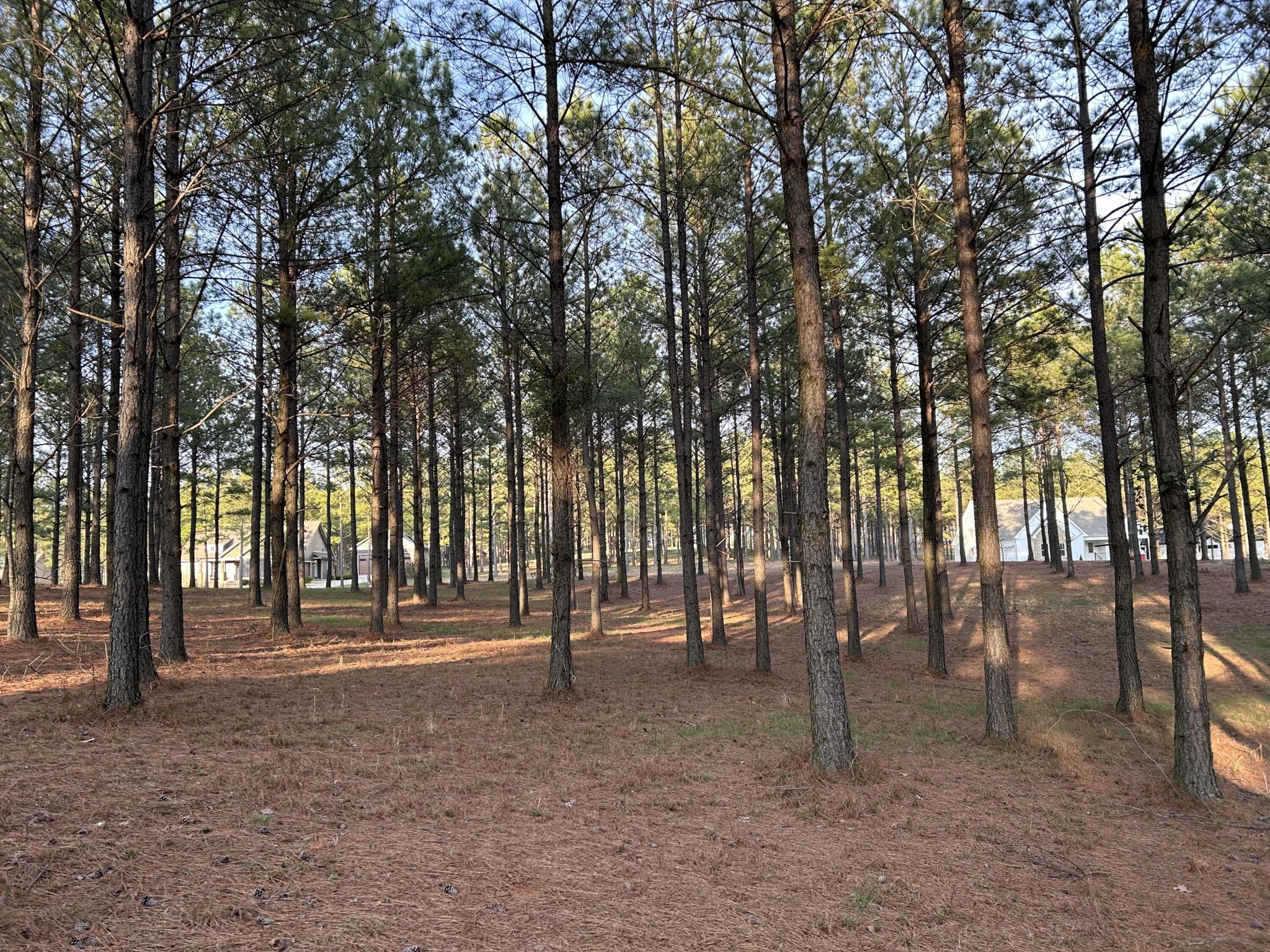 362 Cumberland Circle Jasper TN 37347