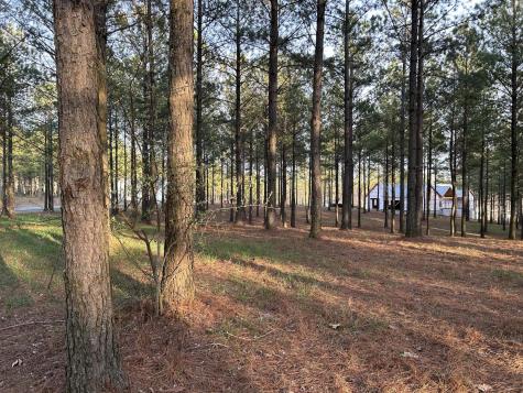 362 Cumberland Circle Jasper TN 37347