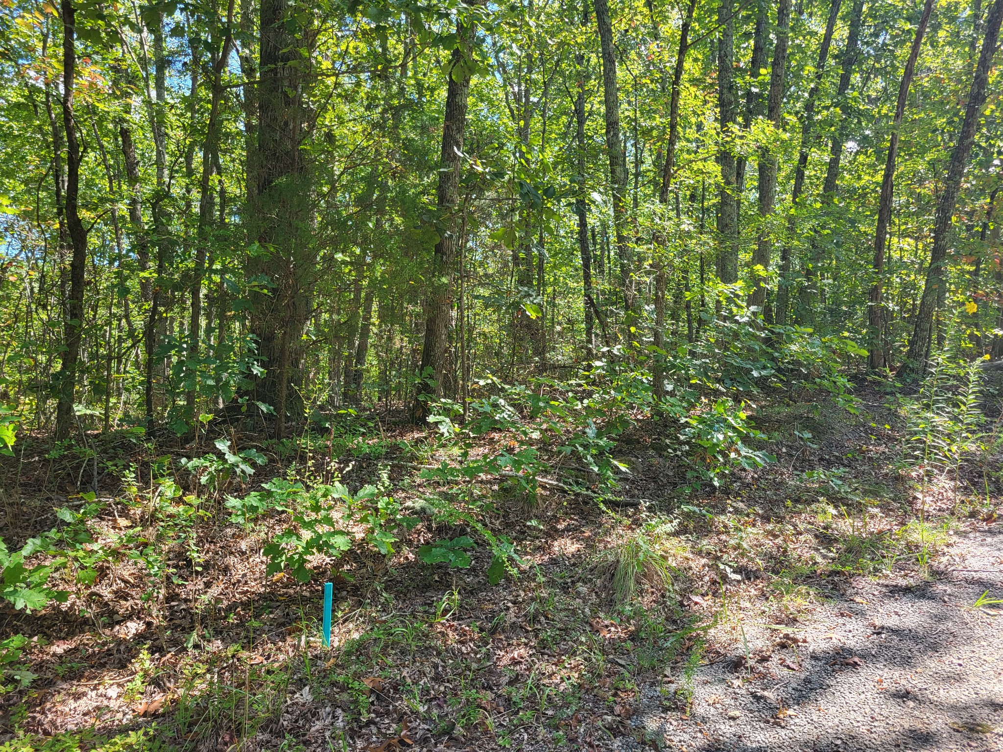 8 Strawberry Gables Holladay TN 38341