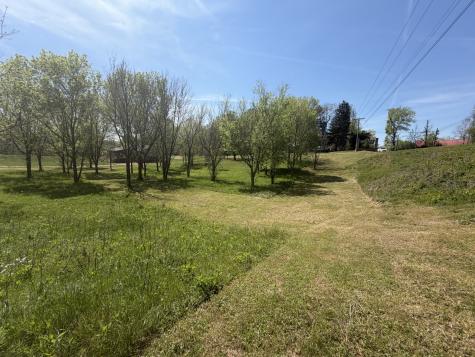 11505 Mcminnville Highway Walling TN 38587