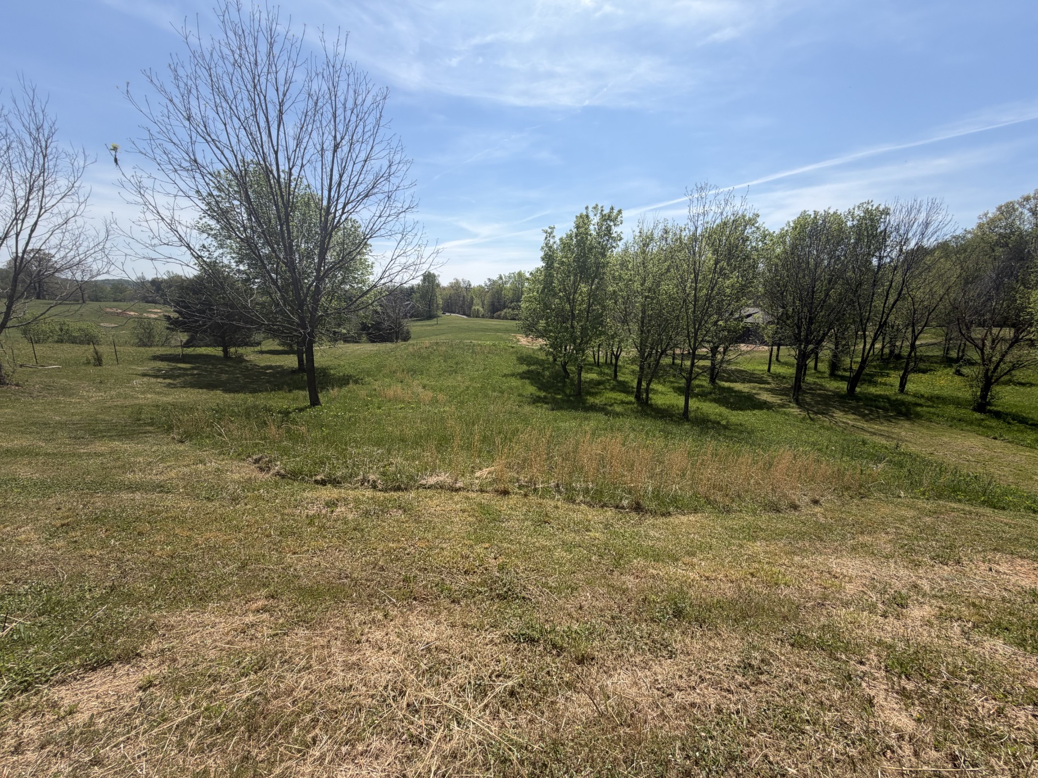 11505 Mcminnville Highway Walling TN 38587