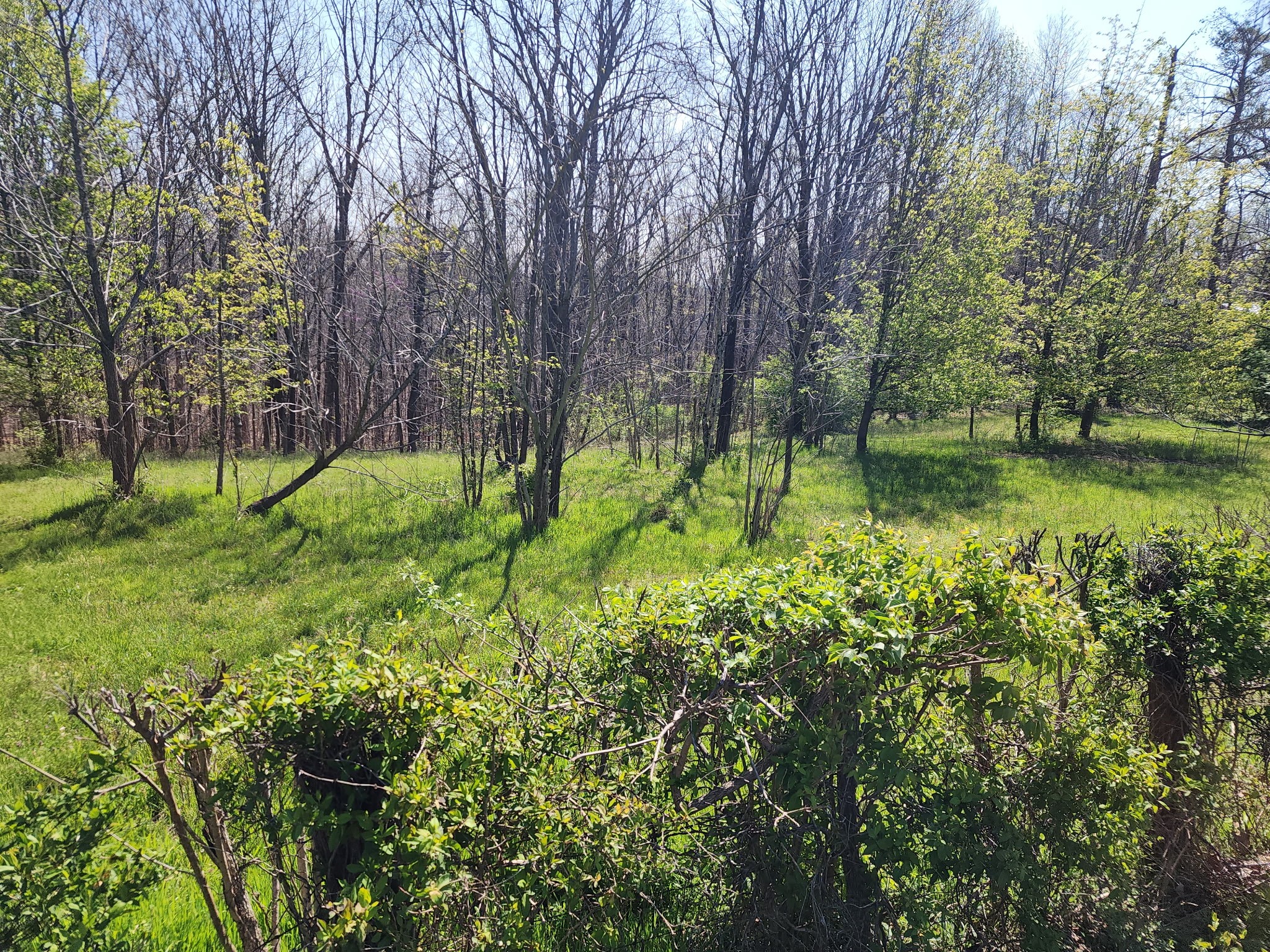 0 Davis Hollow Road Franklin TN 37064