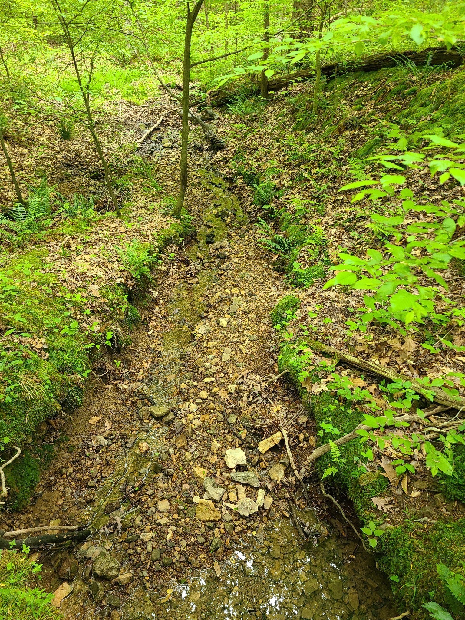 0 Davis Hollow Road Franklin TN 37064