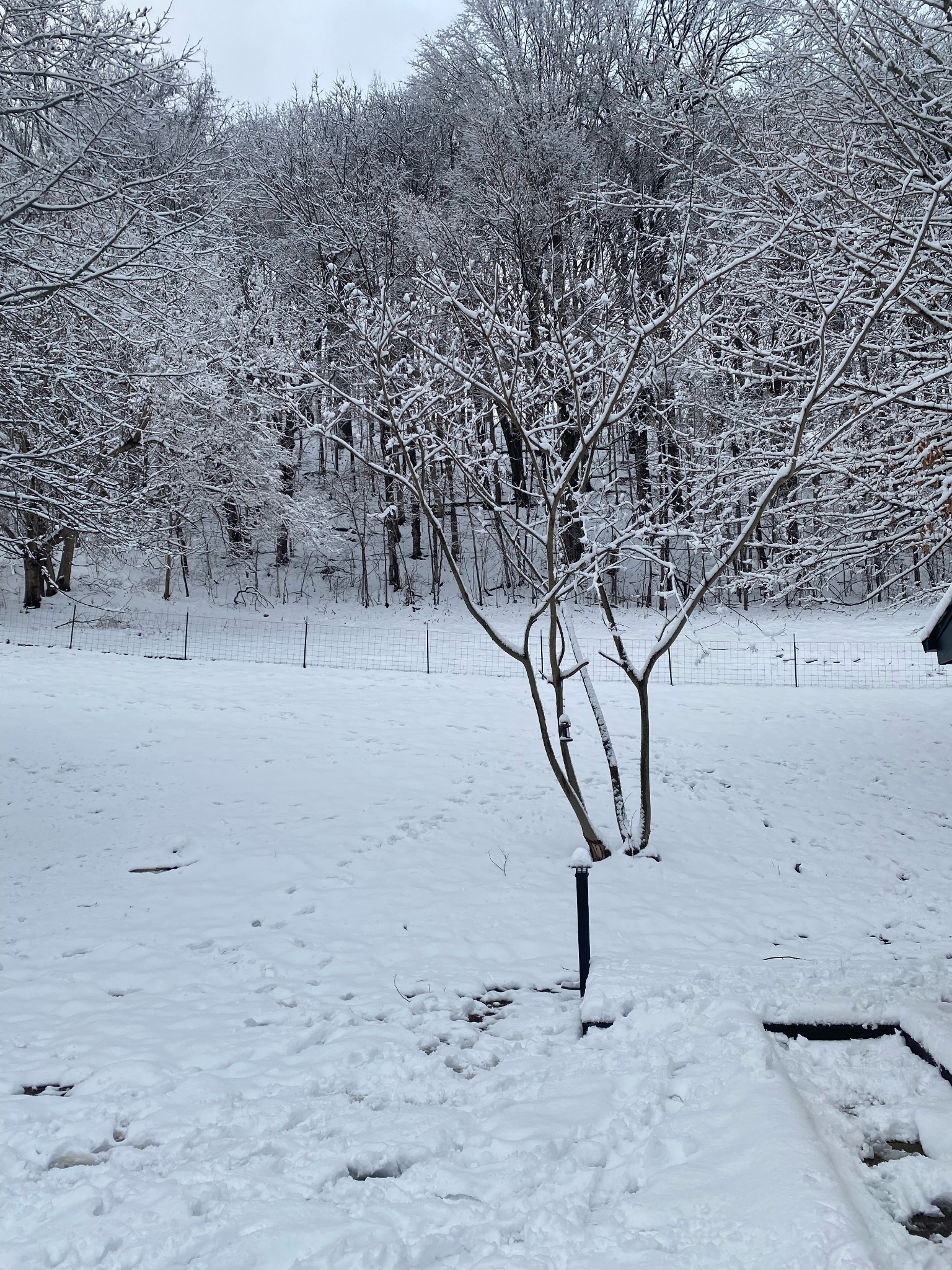 6796 Arno Allisona Road College Grove TN 37046