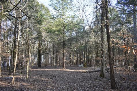 0 E Brooks Bend Lane Gainesboro TN 38562