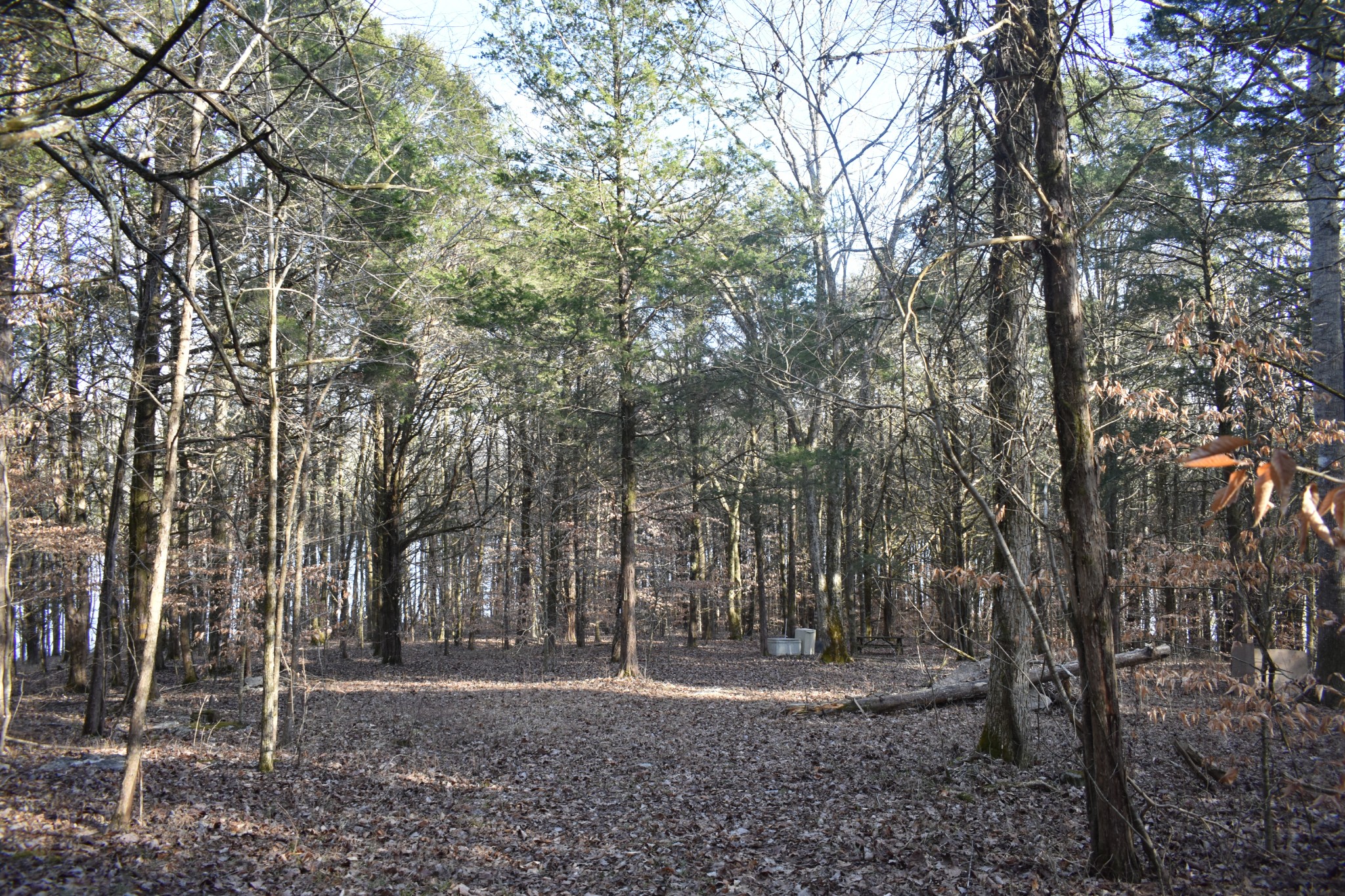 0 E Brooks Bend Lane Gainesboro TN 38562
