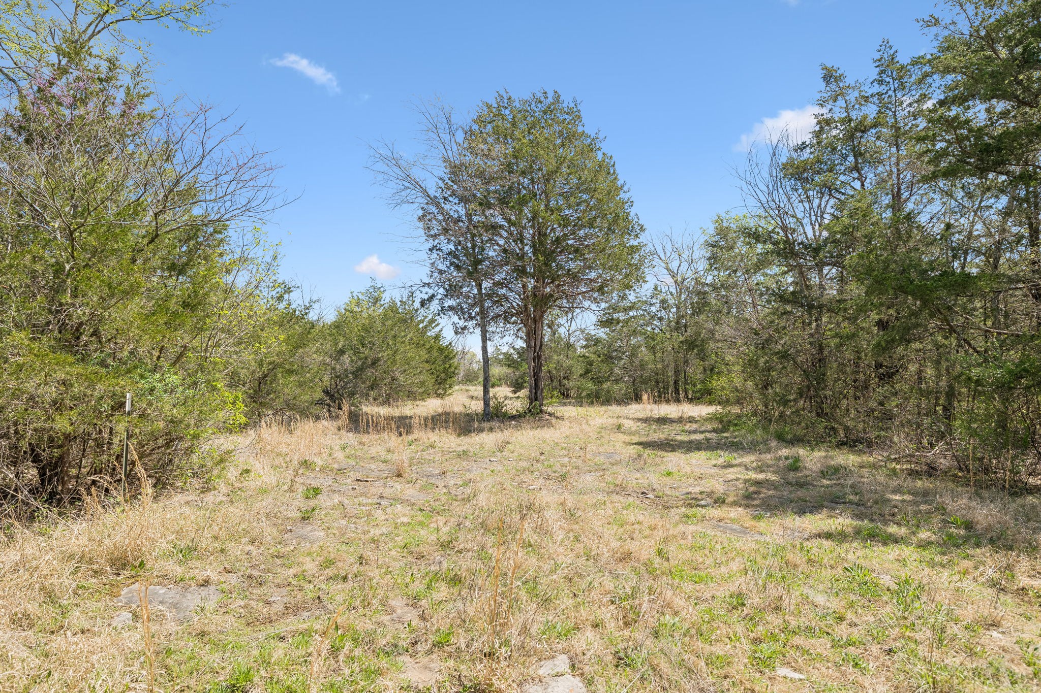160 Osteen Lane Chapel Hill TN 37034