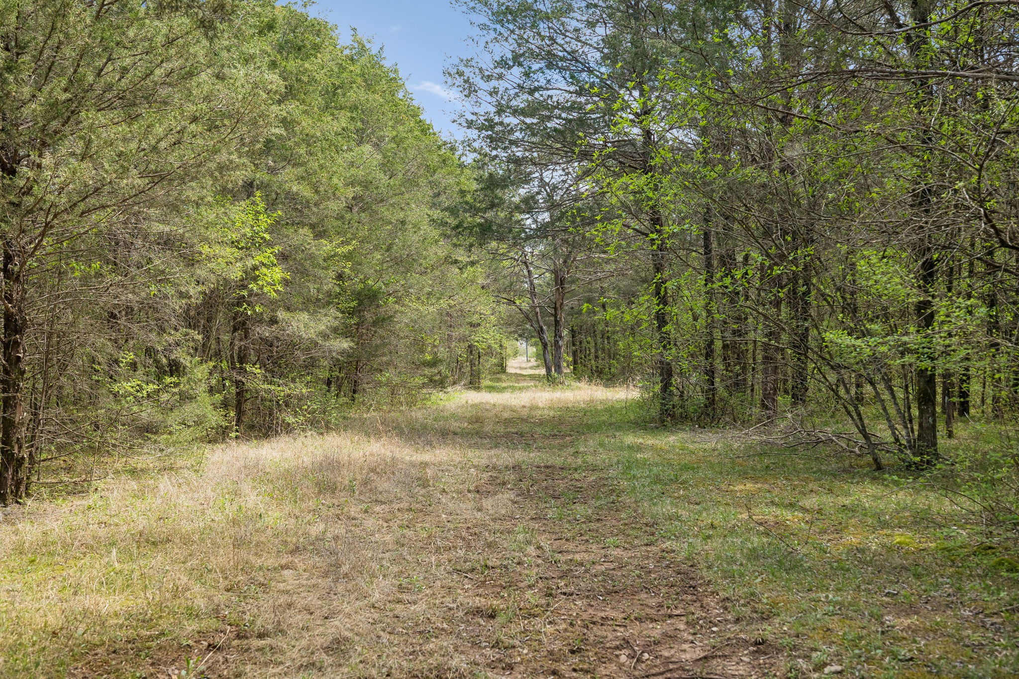 160 Osteen Lane Chapel Hill TN 37034