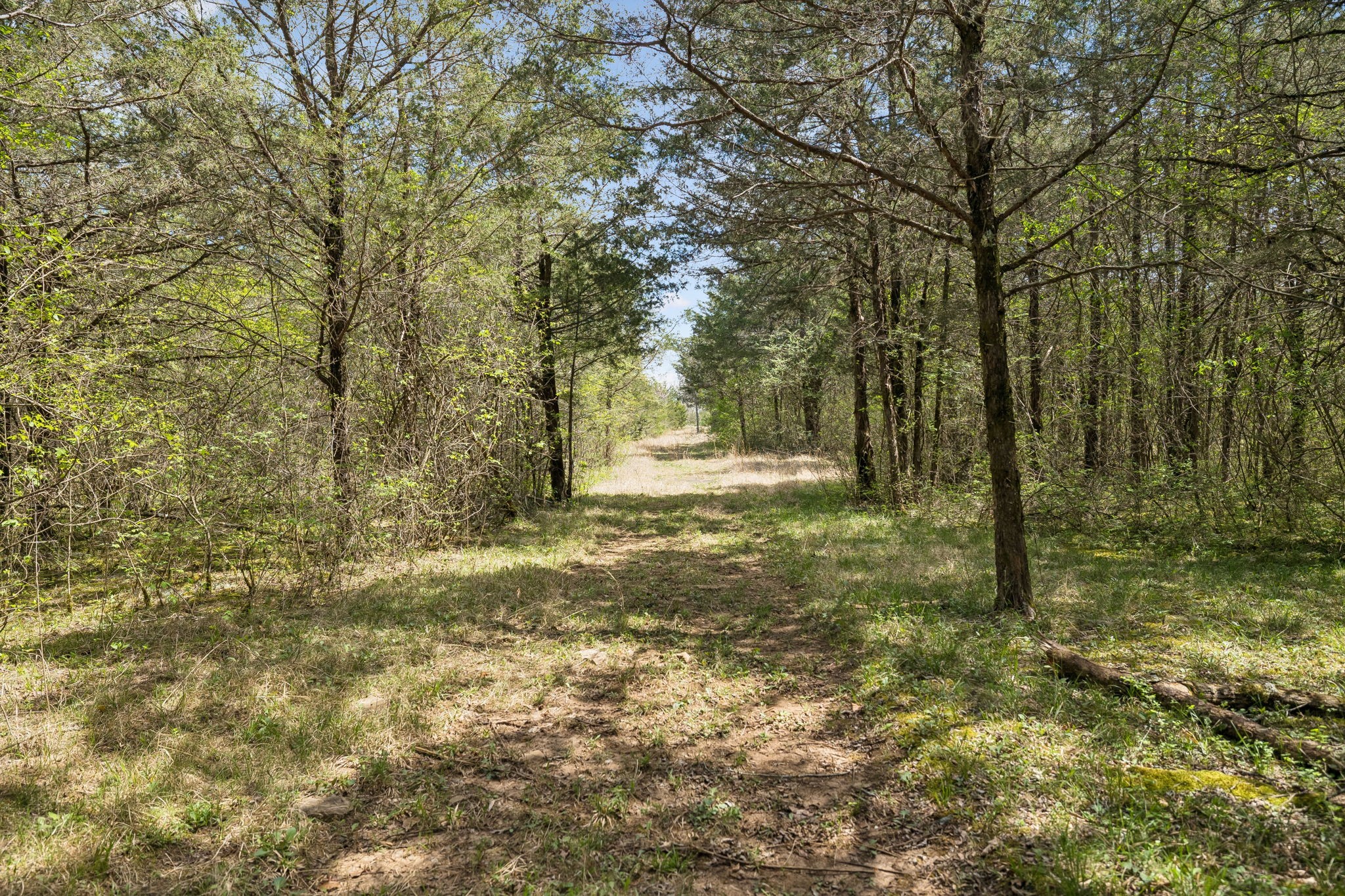 160 Osteen Lane Chapel Hill TN 37034