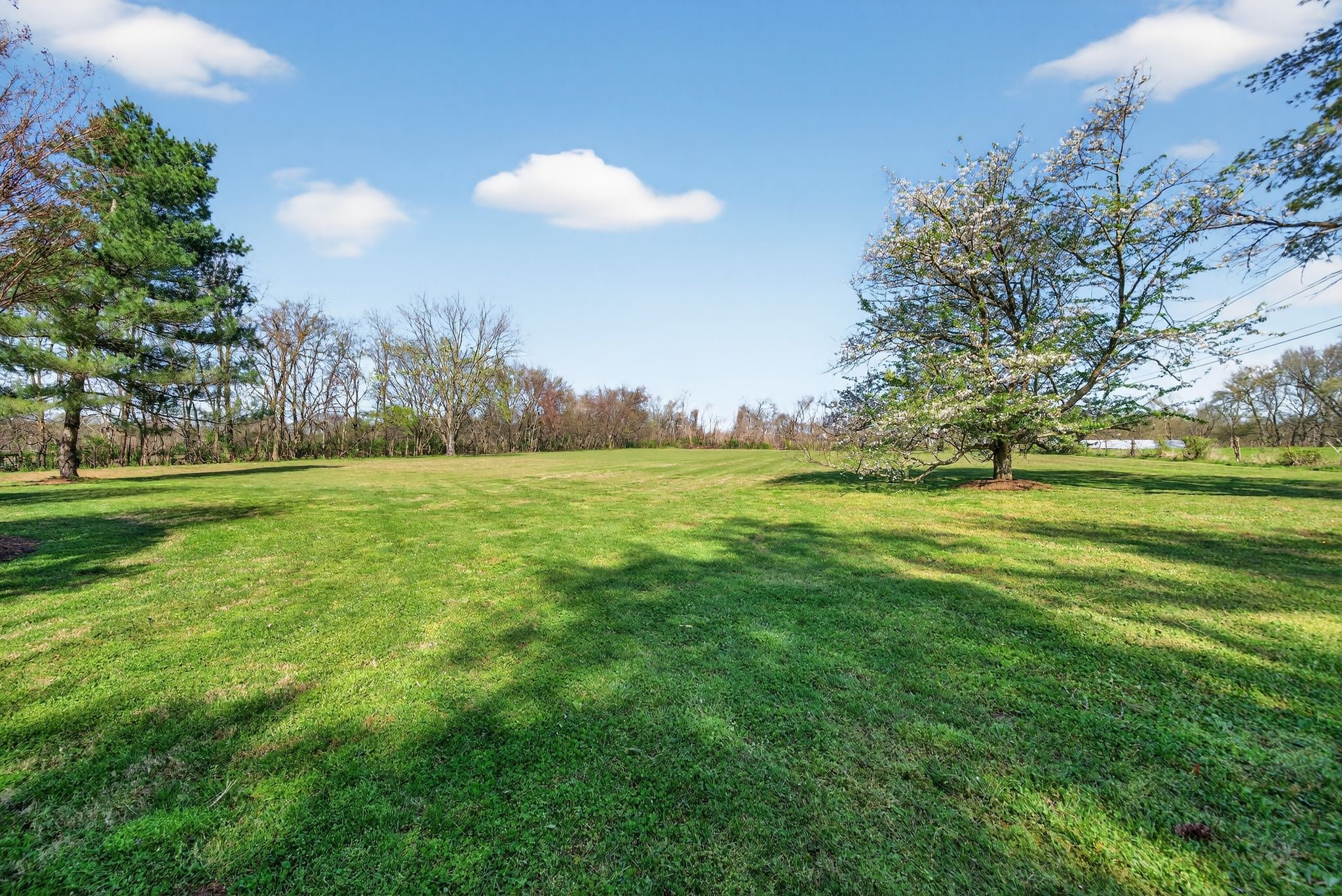 1553 N Main Street Mount Pleasant TN 38474