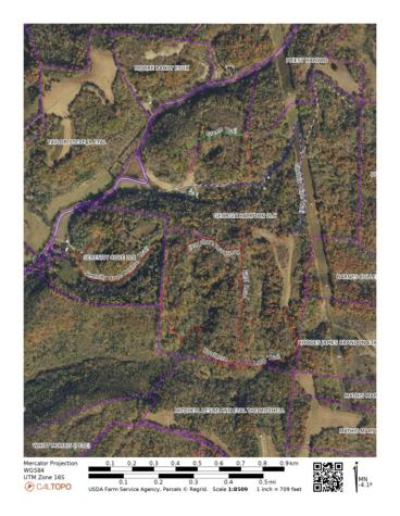 143 Buford Hughey Road Dellrose TN 38453