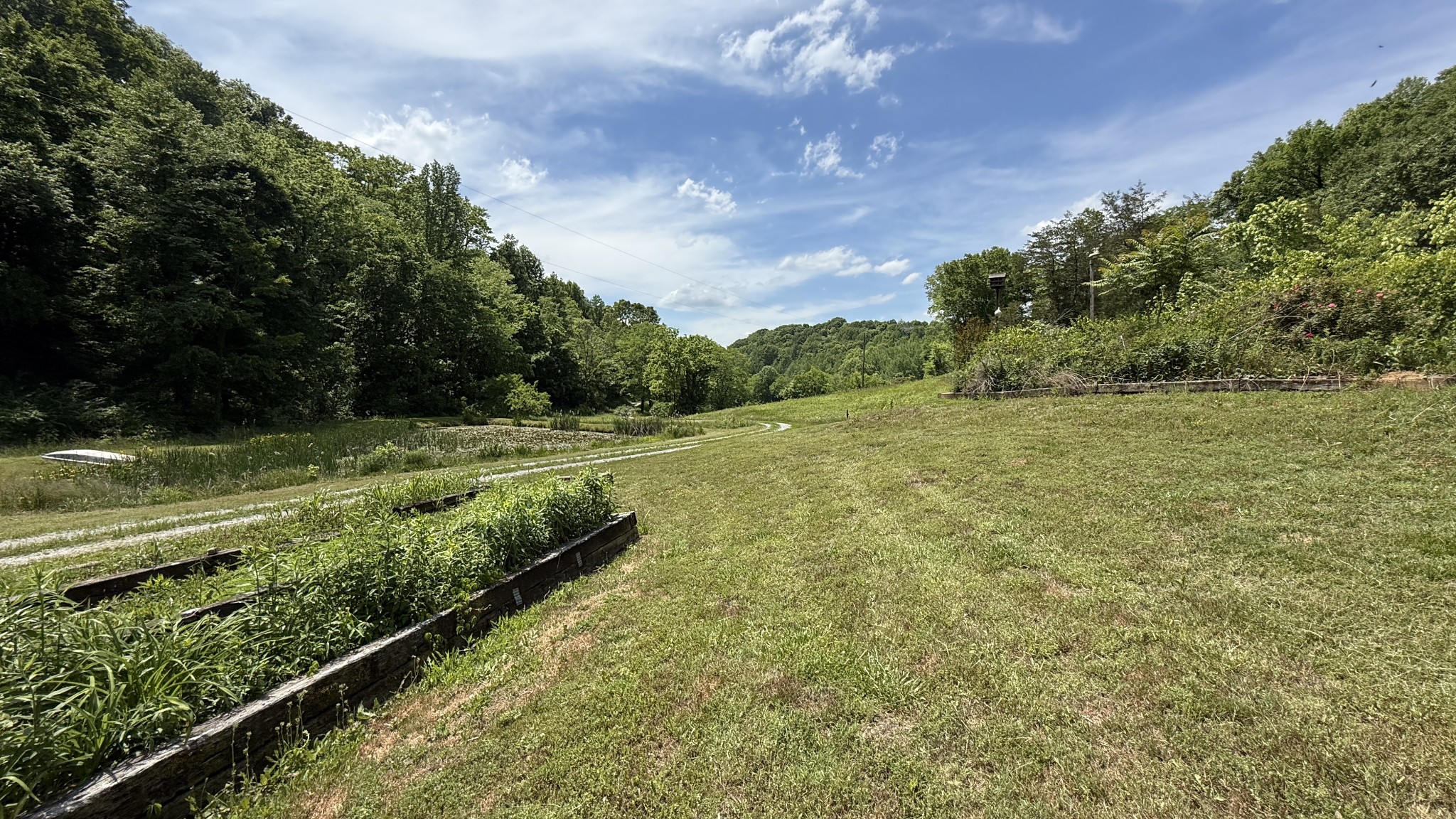 143 Buford Hughey Road Dellrose TN 38453
