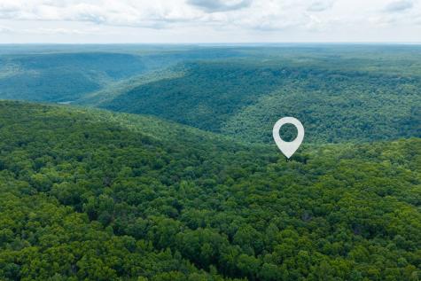 1517 Laurel Lake Drive Monteagle TN 37356