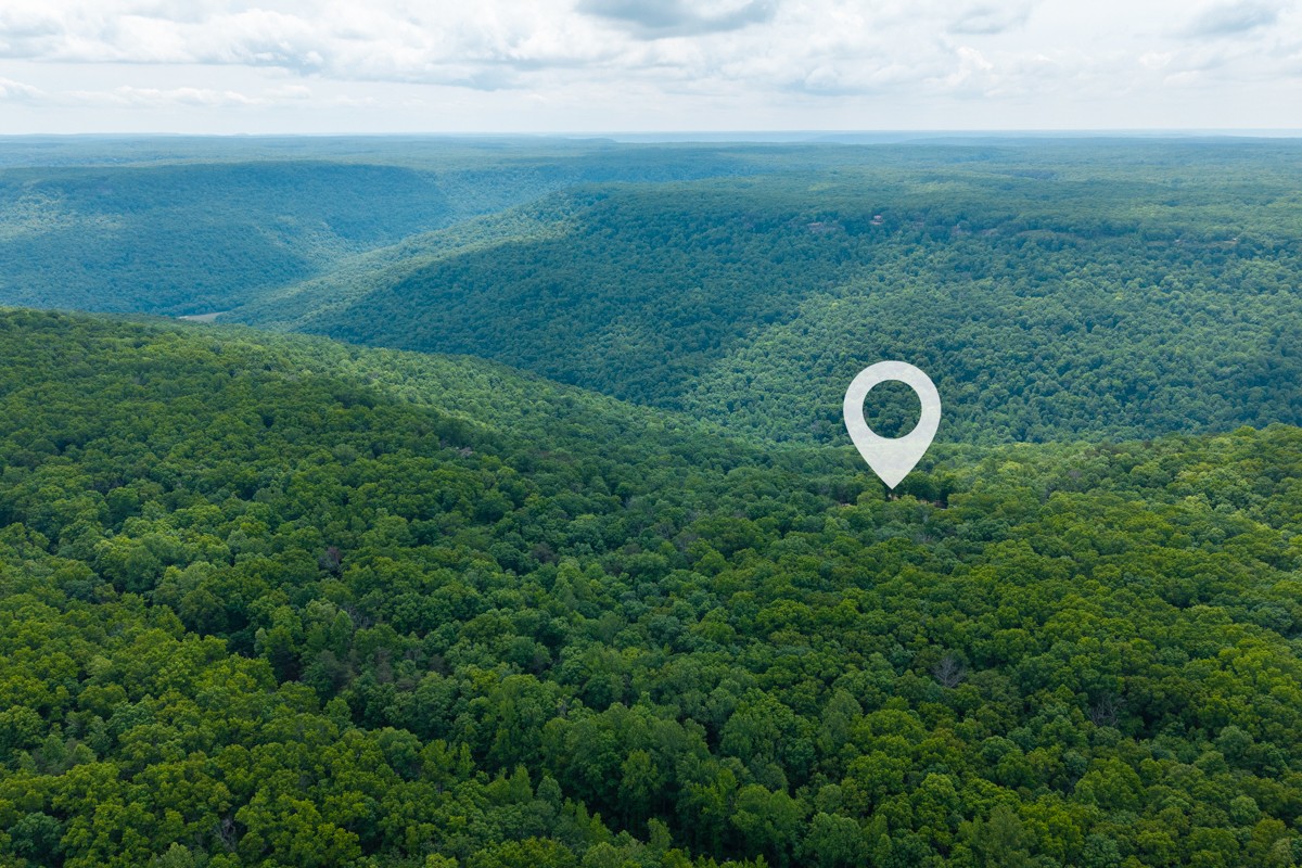 1517 Laurel Lake Drive Monteagle TN 37356