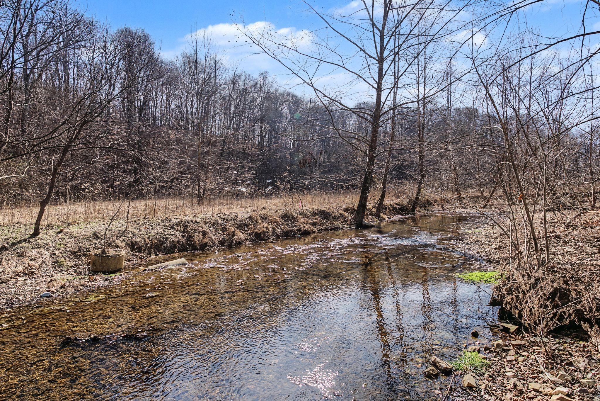 0 Ribbon Branch Road Dover TN 37058