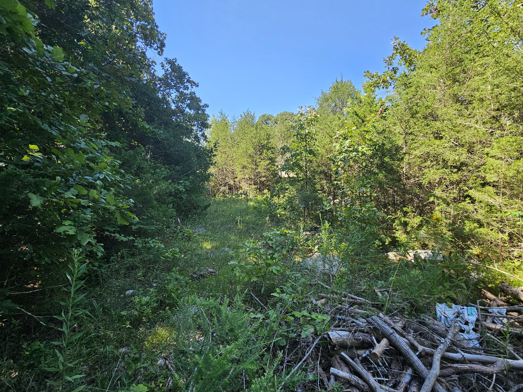 0 Underwood Road Mount Juliet TN 37122