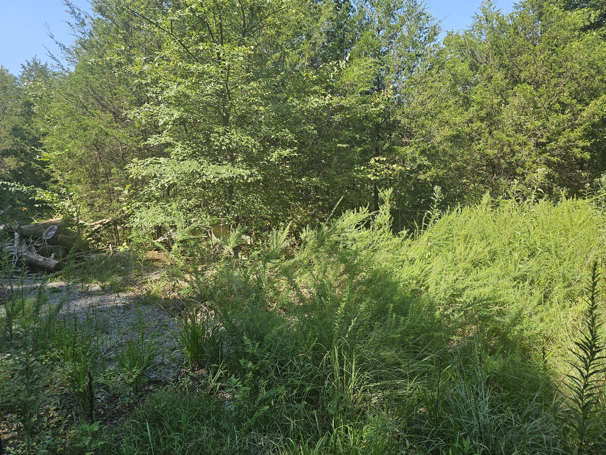 0 Underwood Road Mount Juliet TN 37122