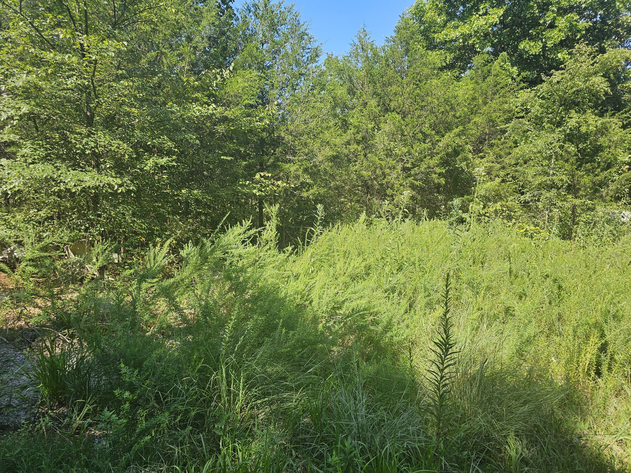 0 Underwood Road Mount Juliet TN 37122