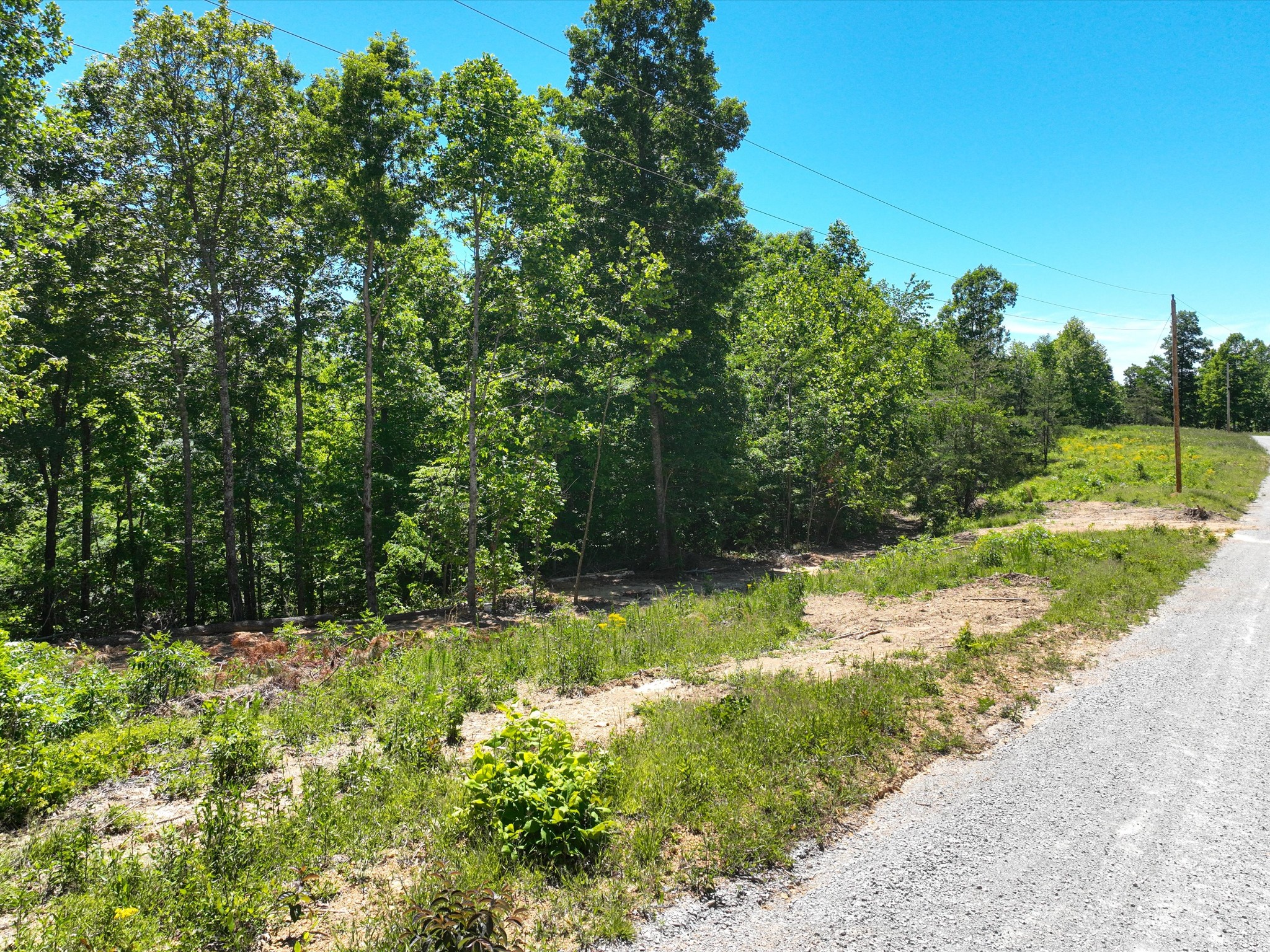 321 Ridgetop Road Hampshire TN 38461