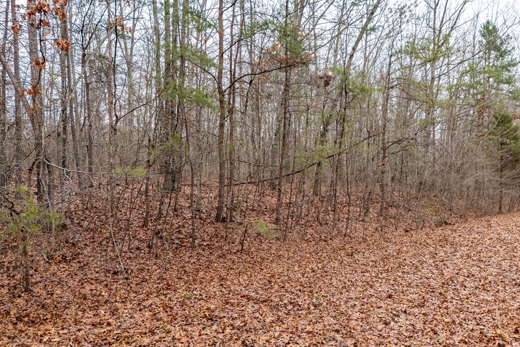 17 Hardwick Place Crossville TN 38558