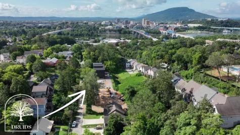 401 Druid Lane Chattanooga TN 37405