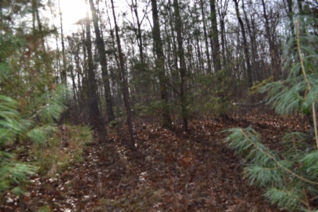 0 Shotgun Annie Road Jamestown TN 38556