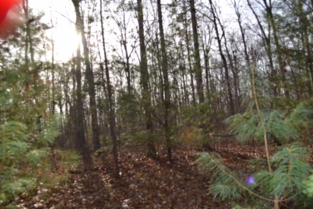 0 Shotgun Annie Road Jamestown TN 38556