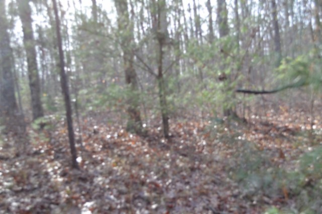 0 Shotgun Annie Road Jamestown TN 38556